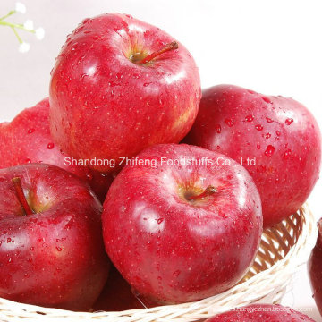 Chino de alta calidad Red Star Apple